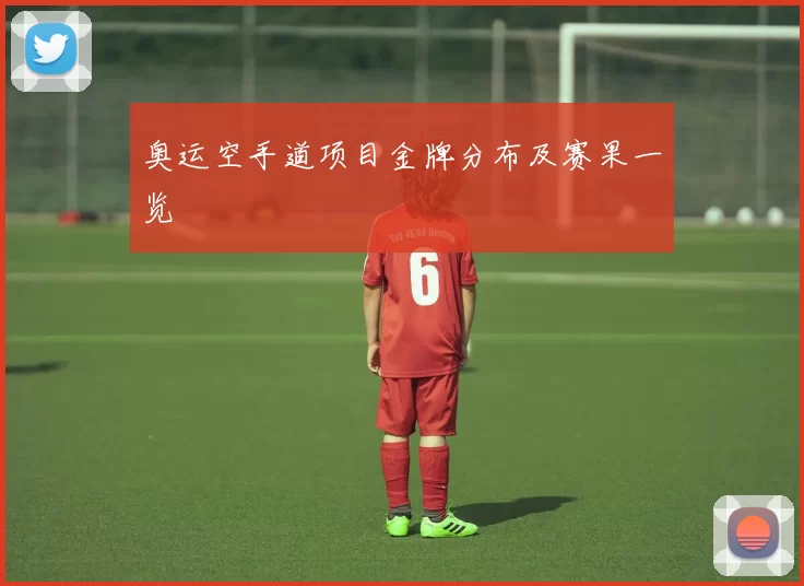 奥运空手道项目金牌分布及赛果一览